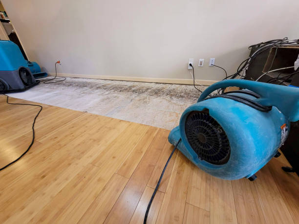 Professional Flood Damage Cleanup technician working in Ardmore, AL